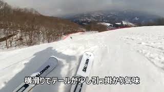 サロモン　Addikt Pro