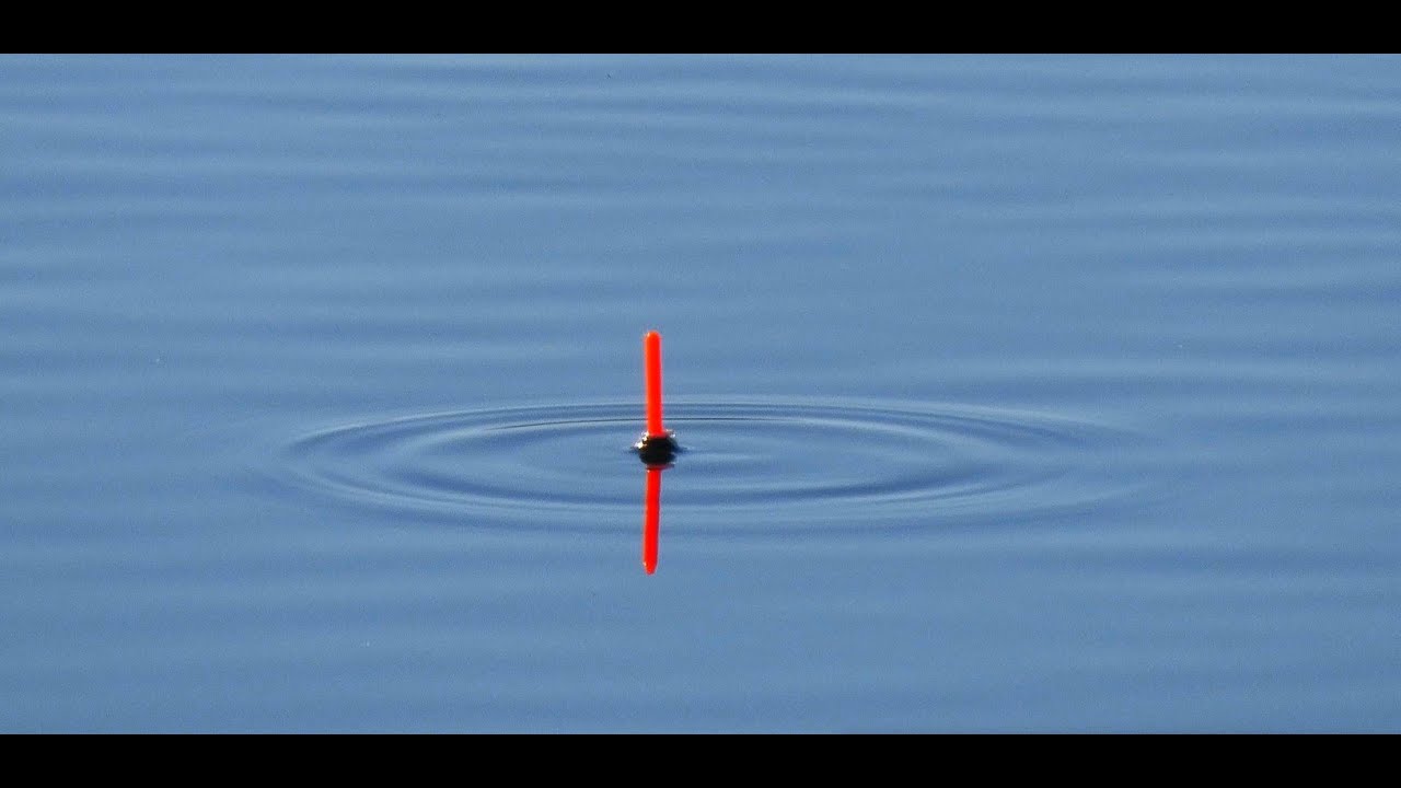 Pescuit CRAP LA PLUTA Cu Porumb Fermentat YouTube