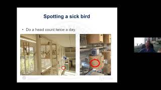 Dr. Kevin Eatwell Presentation on Budgerigar Health to the BSSA screenshot 1