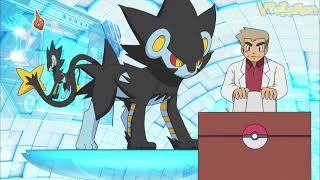 Luxray attacks Professor Oak? | Professor Oak Funny Moments (XY)