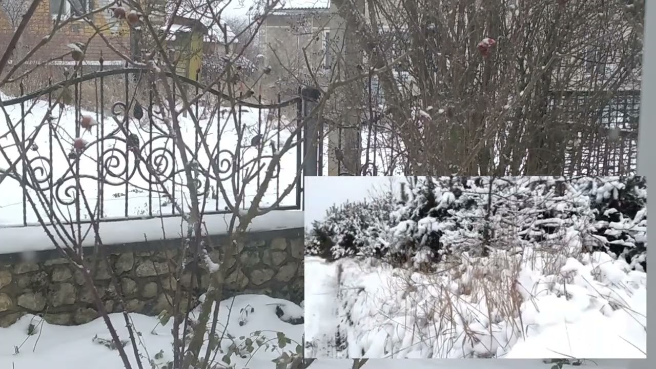 Сніг кружляє 2