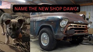 New Half A Hot Rods Shop Dog! What should we name him? by Half A Hot Rods 80 views 2 months ago 3 minutes, 43 seconds