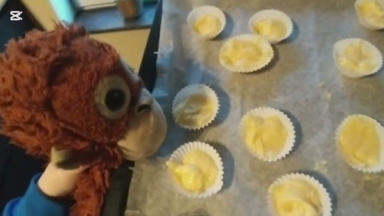 Grote Aap vlogt aflevering 8