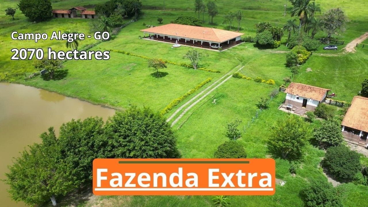 Fazenda extra e grande a venda em Goiás na margem da BR-050