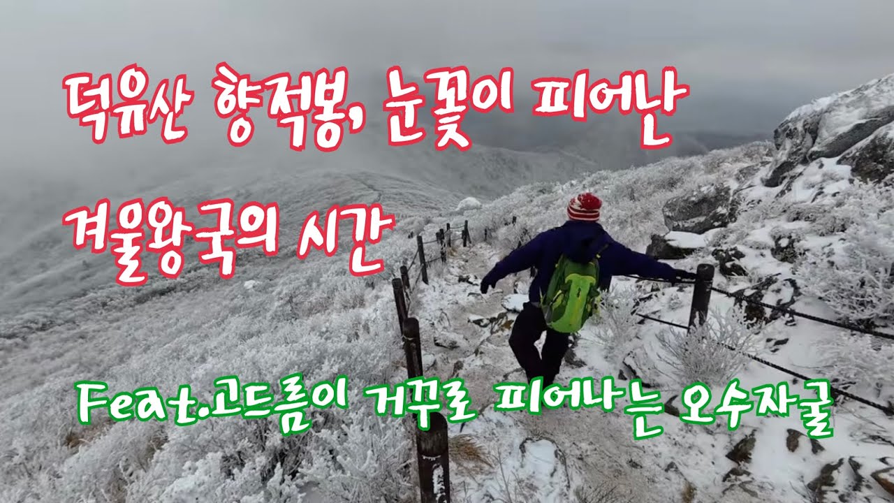 덕유산 차가운 눈꽃은 사람들의 마음을 녹여요ㅣ 덕유산 눈꽃산행 향적봉 설천봉 무주구천동 오수자굴