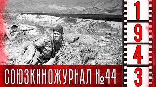 Союзкиножурнал № 44 Июль 1943 Года (Отрывок)