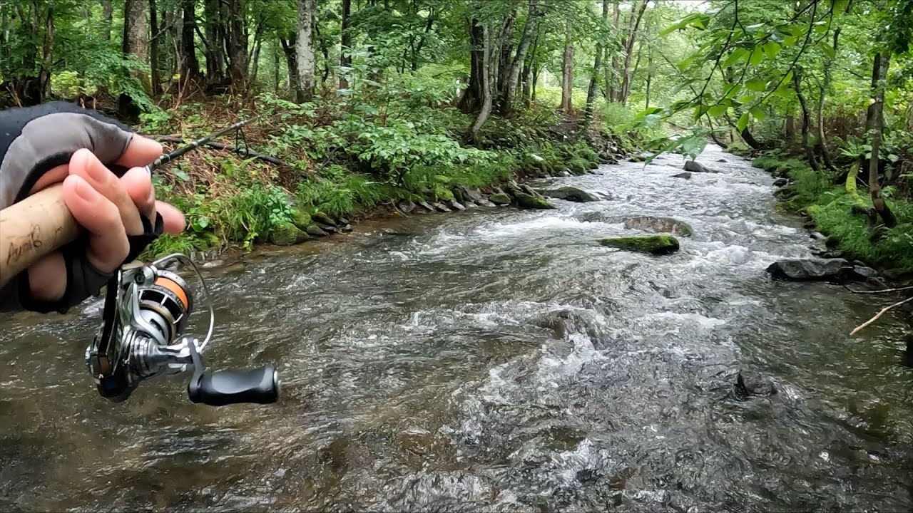 人があまり踏み入れないニジマスの沢川へ