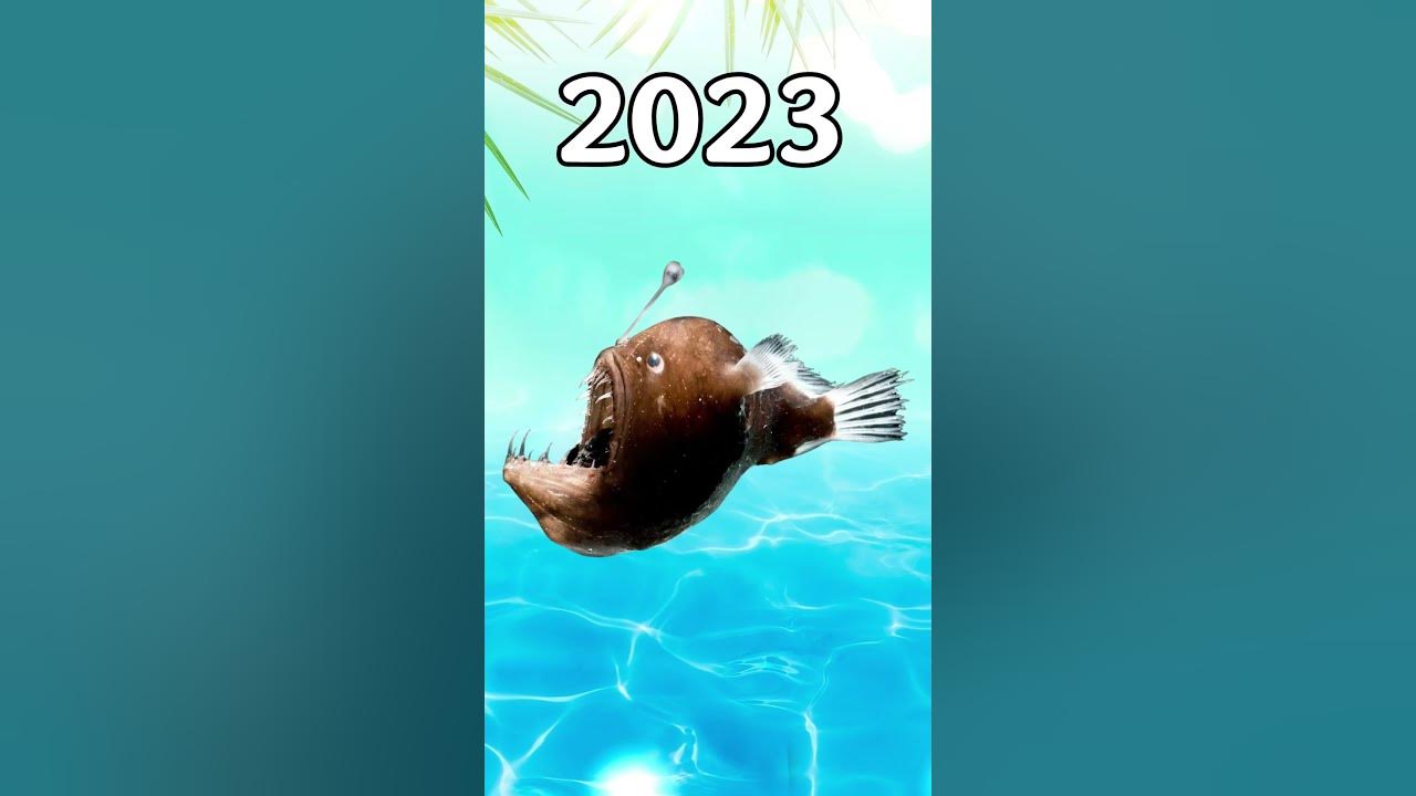 2023 Angler fish vs 5000 bce Angler fish 2023 Angler fish vs 5000 bce Angler fish
