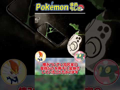 新ポケモン「チャデス」の性能がヤバすぎる！【ポケモンSV】【ゆっくり解説】 #Shorts