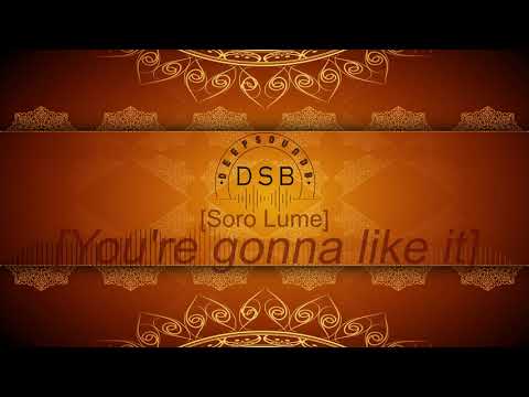 DSB -You're gonna like it (Soro Lume)