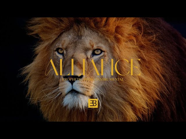 Watch ALLIANCE | PROPHETIC PIANO INSTRUMENTAL - MUSIQUE POUR DÉCLARER DANS L’ATMOSPHÈRE 🗣️ on YouTube Watch ALLIANCE | PROPHETIC PIANO INSTRUMENTAL - MUSIQUE POUR DÉCLARER DANS L’ATMOSPHÈRE 🗣️ on YouTube