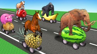 Wild Animals On Fruits Car Race For Kids - Learn Animals Names & Sounds On Wooden Train Toys