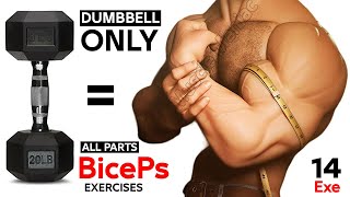 BICEPS Exercises WITH DUMBBELLS AT HOME AND GYM