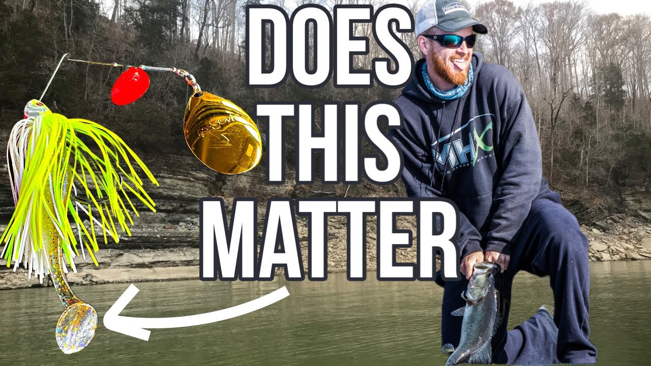Why You Stop Catching Bass on a SPINNERBAIT