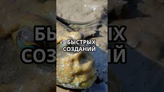 Самая быстрая рыба, которую ты никогда не увидишь!
