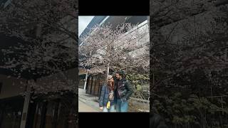 Day trip to Nara Park🦌🤏🏻 #couplevideo #shorts #trending #viral #trendingcouple