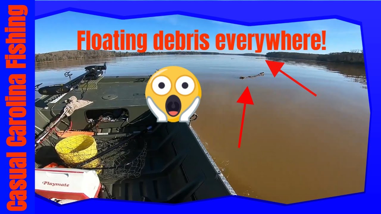 It was one of those days when the cats had lockjaw. YouTube