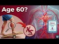 Circulation After Age 60 The Hidden Danger That Triples Your Fall Risk Free Guide