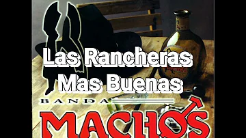 Banda Machos -                     Puras  Rancheras