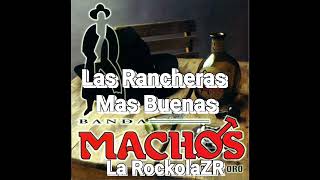 Banda Machos -                     Puras  Rancheras