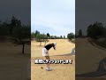 今めちゃくちゃバズってる話題の【透明ゴルフティ】が見つからないのか検証します👀