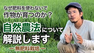 Natural farming 自然栽培米 自然療法 腸脳相関 シュタイナー教育 mqdefault.jpg