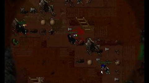 tibia noob pk on elysia II [OLD]