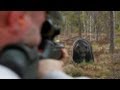 Shooting bear, Exclusive targets, Sauer 303