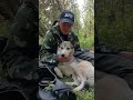 Результат встречи Каи и земляных пчёл. Там мёда нет, ей объяснили доходчиво, картина на морде)))