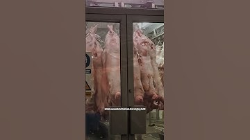 TERUNGKAP! PASAR INI MENJUAL DAGING MANUSIA!