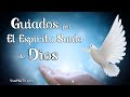 🔥 Como ser guiado por El Espiritu Santo de Dios | Palabra Sabiduría y Salvacion