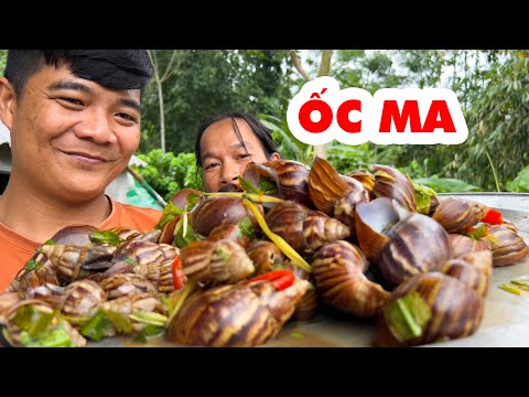 Video Ốc Sên Ma Xào Sả Ớt Tưởng Phải Đổ Đi Mà Ăn Sạch Cả Mâm... - youtube