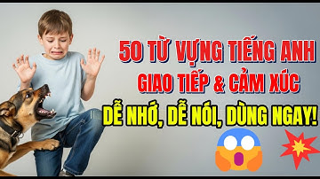 🔥50 TỪ VỰNG TIẾNG ANH CHỦ ĐỀ GIAO TIẾP & CẢM XÚC 💬 – DỄ NHỚ, DỄ NÓI, DÙNG NGAY! 😍💪
