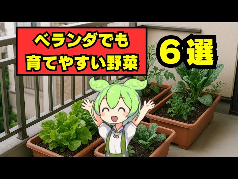 ベランダで育つ！コンテナ栽培に最適な野菜10選と育て方のコツ