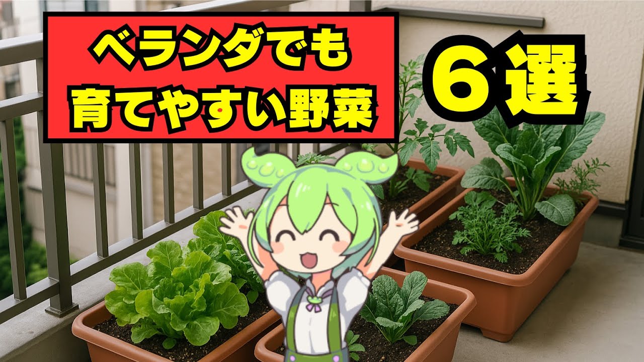 ベランダ菜園におすすめ！育てやすい野菜6選！【家庭菜園】