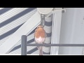 Invasion der Rotkehlchen Teil 1 - Robins on my balcony