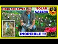 RIEGO por GOTEO SOLAR CASERO, FUNCIONA INCLUSO con AGUA DE MAR 👉 ESPECTACULAR 👈 | Gio de la Rosa