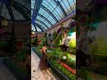 With Love from Bellagio Garden