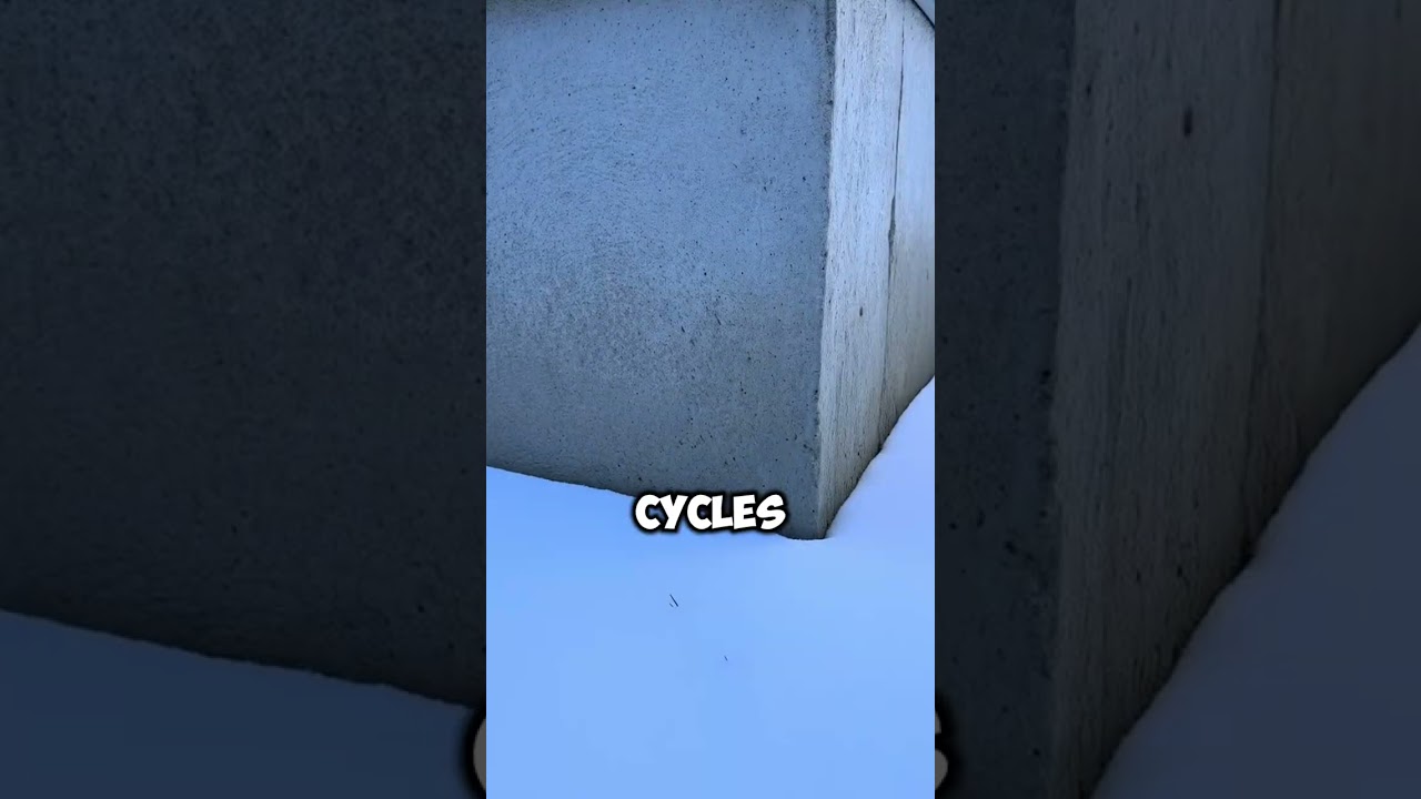 🏠 Protect Your Foundation from the Ground Up