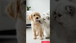 Fake bone prank 😂🦴 | Funny Puppy Kitten Shorts