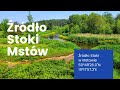 Źródło Stoki w Mstowie