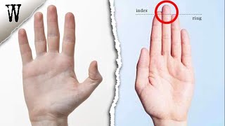 HAND SHAPE ANCESTRY You Shouldn't Ignore 