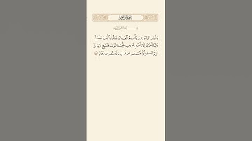SURAH IBRAHIM AYAT 44|سورة ٤٤|إبراهيم آيت BY QARI MUHAMMAD IQBAL BIN AHMAD #quraan#qurantilawat