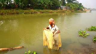 Net Fishing, Catching fish using net by Masum