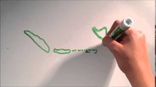 crash course unit 4 ap human geography (f)