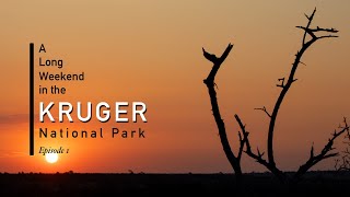 Long Weekend In The Kruger National Park | Ep1: Tamboti Camp