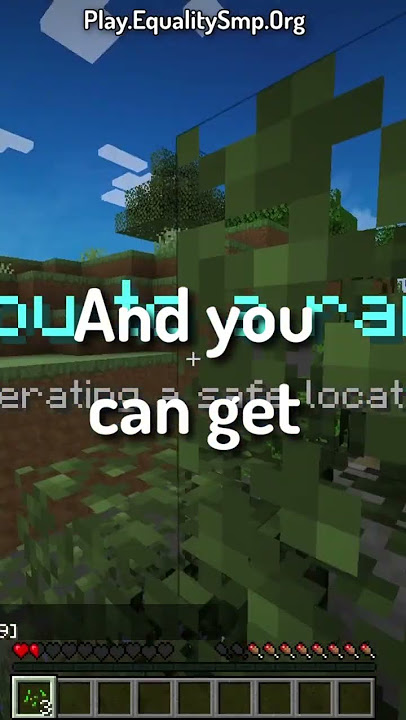 This Is The BEST Smp! (Play.EqualitySmp.Org) #smp #viral #minecraft