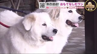 熱烈送迎！