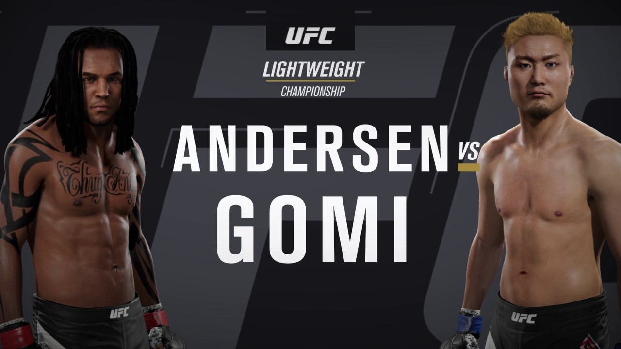 UFC Ko's/Tko's Part 2