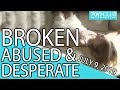 BROKEN, Abused, & Desperate | Full Episode | 700 Club Interactive